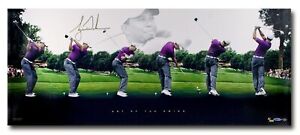 Tiger Woods Signed Autographed 36X15 Photo "Art of the Swing" Collage #/250 UDA