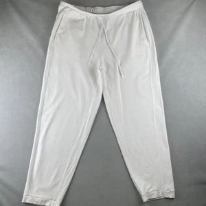 Eileen Fisher Pants Womens L Organic Cotton Joggers Drawstring Made USA Travel - Picture 1 of 14