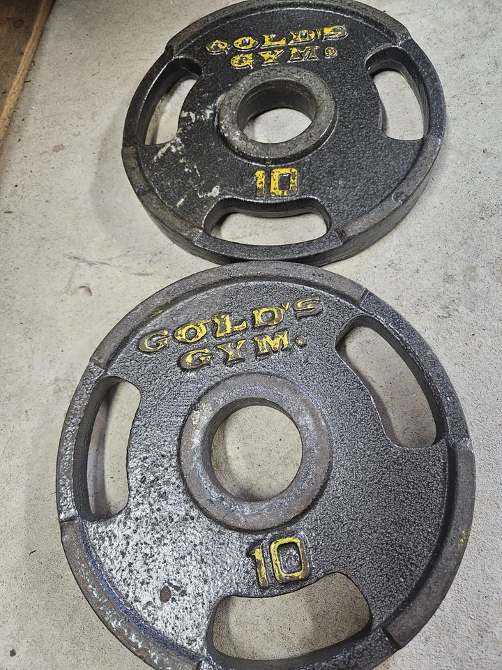 GOLD'S GYM Par de placas de peso Olympic Grip de 10 lb gimnasio 20 lb en total Foto 1 de 1