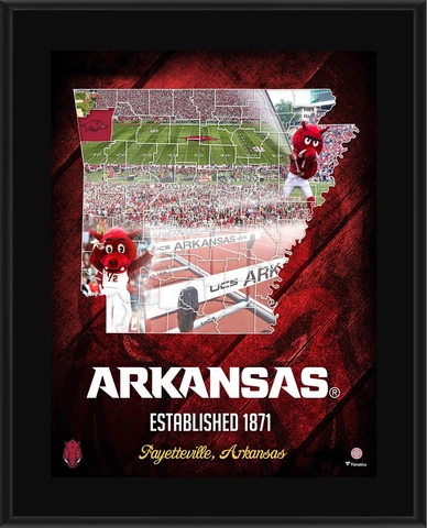Arkansas Razorbacks 10.5" x 13" 2018 Sublimated State Plaque Cover