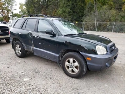 Air Cleaner 3.5L Fits 03-06 SANTA FE 2522056 - Изображение 1 из 4