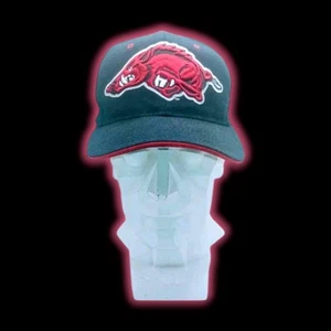 Zeyphr arkansas razorbacks Hogs Fitted Hat Sz Small - Picture 1 of 4