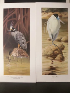 Pair Limited Edition Signed Silkscreen Prints "NIGHT HERON" by Don Eckelberry - Picture 1 of 12