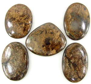 278.30 Ct Natural Bronzite Loose Gemstone 36-39 mm Cabochon 5 pcs Lot - 64466 - Picture 1 of 6