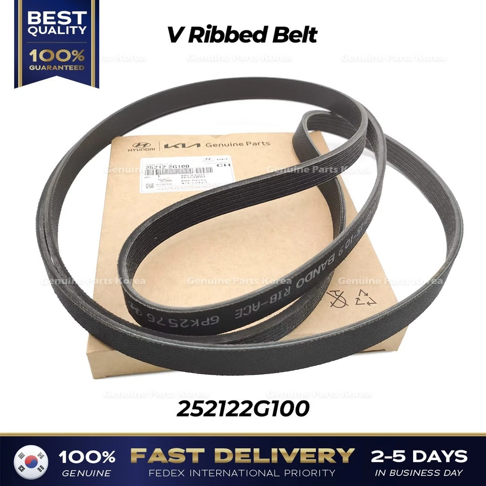 ⭐Genuino⭐ Cinturón acanalado en V 252122G100 para Hyundai Santa Fe Kia Sorento Foto 1 de 1