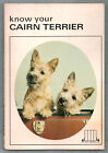 Know Your Cairn Terrier : The Pet Library 532 Softcover import avec photos couleur