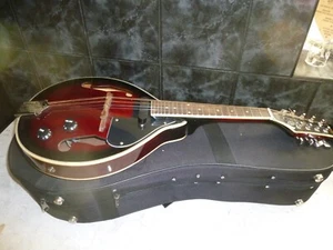 ROCKET MUSIC STAGG ELECTRIC MANDOLINE WITH HARD CASE VGC - Picture 1 of 12