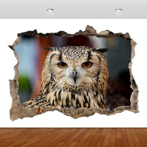 Owl Animal Bird Beautiful 3D Smashed Wall Sticker Poster Vinyl Mural Decal S426 - Picture 1 of 1