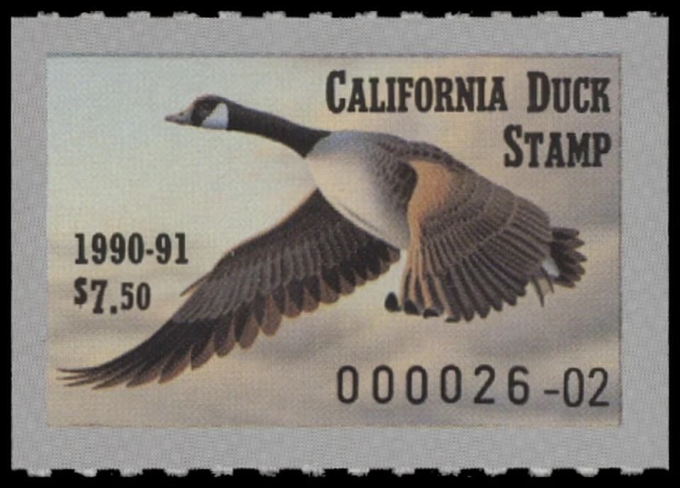 1989  California State Duck Stamp Mint Never Hinged. Original Gum  - Image 1 of 1