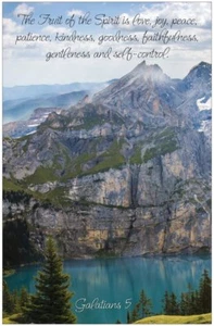 Frucht des Geistes Inspirierend Christ 11" x 17" Poster - C75 - Bild 1 von 1