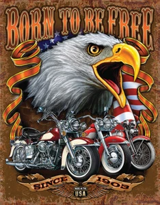 Born To Be Free Brown/White/Grey Nostalgic American Wall Décor Tin Sign 2451 - Picture 1 of 1