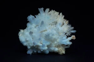 JH23589 Aragonite Crystal Sprays, Bristol Silver Mine, NV - Picture 1 of 3