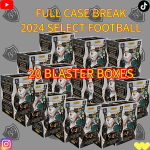 MINNESOTA VIKINGS 2024 PANINI SELEZIONA 20 BLASTER BOX BREAK CUSTODIA COMPLETA CALCIO - Foto 1 di 1
