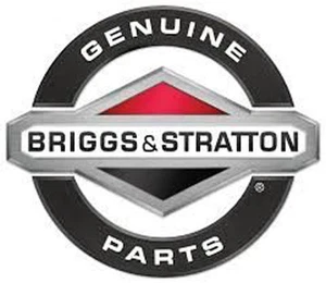 Carburador Briggs & Stratton 311392GS FABRICANTE DE EQUIPOS ORIGINALES - Imagen 1 de 1
