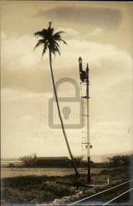 RPPC Hawaii um 1920 Oaho Eisenbahn entlang Pear Harbor RR Gleise Echtfoto 117541 - Bild 1 von 5