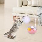 Interactive Cat Toy Exercise Cat Enrichment Toy Funny Cat Feather Toy Cat