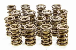 ISKY CAMS 1.600 Valve Springs Dual Spring / Damper, 650 lb/in Spring Rate - Picture 1 of 1