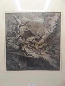 Kupferstich Johann Elias Ridinger Hirsch - Bild 1 von 8