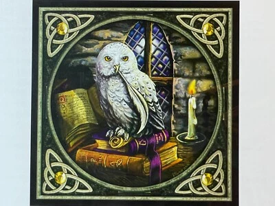 Heaven and Earth Designs New Owl Cross Stitch Pattern Animal 2012 NOS - Image 1 of 4