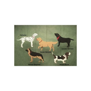 Skyflight Dogs Hanging Baby Classroom Mobile Kinetic Art Educational Decor - Bild 1 von 1