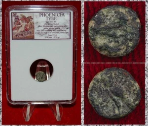 Ancient Coin PHOENICIA TYRE Swimming Hippocamp and Owl Silver 1/16 Shekel - Picture 1 of 4