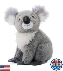 The Petting Zoo Koala Stuffed Animal, Gifts for Kids, Wild Onez Zoo Animals, - Picture 1 of 5