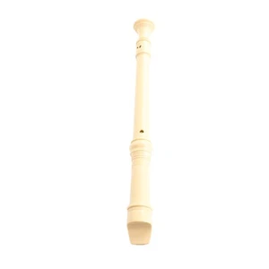 8 Hole Clarinet For Beginners Treble C Key Recorder Plastic Wind Instrument BYS - Picture 1 of 5