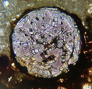 Meteorite NWA 16975 - LL3 Chondrite RARE Glass Chondrule !! - HQ Thin Section - Picture 1 of 17