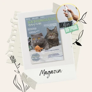 3 Ausgabe - Katzenglück hautnah - Bild 1 von 3