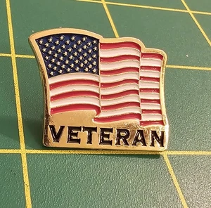 US Veteran amerikanische Flagge wehende Anstecknadel mehrfarbig Freiheit Liberty S31 - Bild 1 von 2