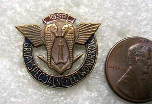 Polen Polnische Marine Anstecker Pin Sondereinsatzgruppe FORMOSA - Bild 1 von 2