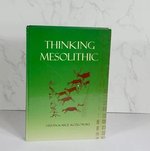 Thinking Mesolithic (2009) by Stefan Karol Kozlowski - Picture 1 of 7