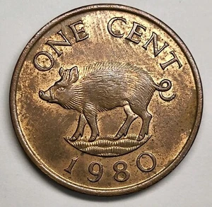 Bermuda 1 Cent 1980. KM#15. One Penny coin. Elizabeth II. Wild Boar. Animals. - Picture 1 of 6