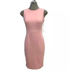 Calvin Klein Elegant Silver Pink Princess Seam Career Work Sheath Dress size 2 - Picture 1 of 8