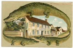 Alligator Border S 550 Florida St Augustine Museum - Bild 1 von 2