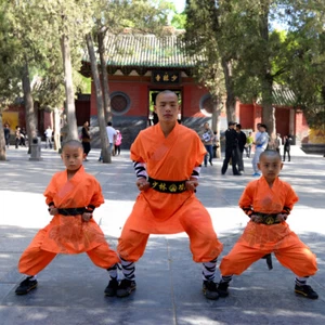 Orange Cotton Shaolin Monk Robe Kung fu Suit Kid Adult Wushu Performance Uniform - Picture 1 of 20