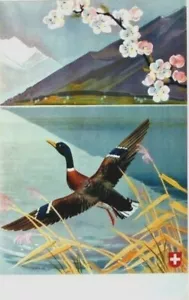 Póster original vintage SWISS HOLIDAYS LAGO PATO 1945 - Imagen 1 de 1