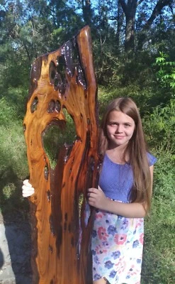 11+ años vendiendo arte de pared de madera de burl recuperada submarina de ciprés sinker en eBay Foto 1 de 4