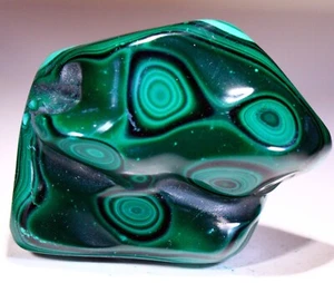 3.5" 9.8 oz Top Quality Polished Bull's Eye Malachite, Congo! M587 - Picture 1 of 4