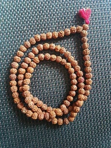 Rudrakchaya Jaap Mala ( 8 mm 108 +1 guru beads) 5 mukhi. - Picture 1 of 4