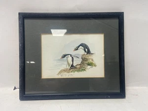 Signiertes Rockhopper Pinguin Aquarell Gemälde Künstler unbekannt 22x27cm *Preloved* - Bild 1 von 24