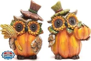 Hodao Harvest Decor Resin Owl Figurines with Sunflower and Pumpkin, Thanksgiv - Picture 1 of 3
