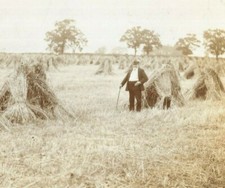 Cabinet Card Photo Man Field Hay Stacks John Lee Studio Ware Hertfordshire 