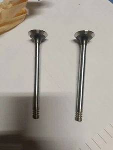 2 VALVOLA DI SCARICO MOTORE PER FIAT 500 R 126 1973 3436 R/CR FIAT 4294099 - Foto 1 di 4