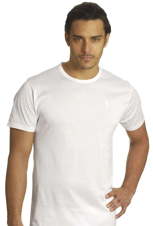 Maglia uomo in filo di Scozia Axiom 6602 - Immagine 1 di 1