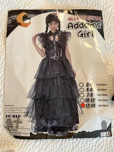 Disfraz Addams Niña Miércoles 12-14 Largo Negro Vestido-Peluca-Cinturón-Calcetines Hasta la Rodilla G - Imagen 1 de 20