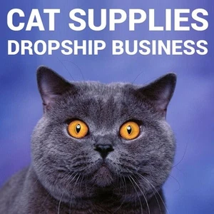 Cat Clothing Website Business Earn 2nd Income £30000+ Per Year - Picture 1 of 1