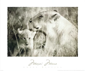 Lorne Resnick Masai Mara II Lion and Cub 24x20 in - Picture 1 of 1