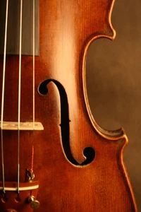 OLD ANTIQUE FRENCH VIOLIN, SCHOO OF CAUSSIN PROBABLY BY LABERTE CA 1920 + VIDEO. - Picture 1 of 1