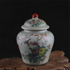 Beautiful Chinese Hand Painting Famille Rose Porcelain Flowers Bird Pot